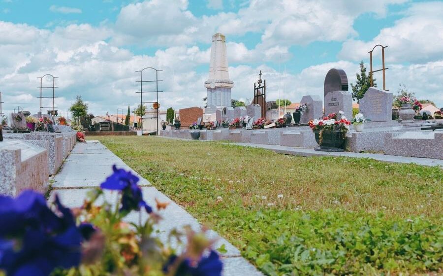 Engazonnement du cimetière communal de Talence